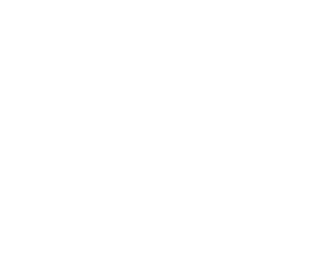 Spiegelgesprek